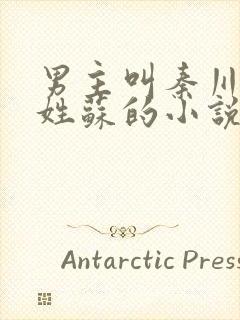男主叫秦川女主姓苏的小说
