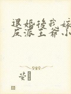 退婚后我嫁给了反派王爷小说