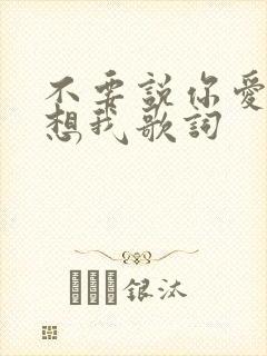 不要说你爱我你想我歌词