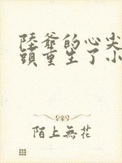 陆爷的心尖小丫头重生了小说