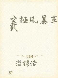 究极风暴革命下载