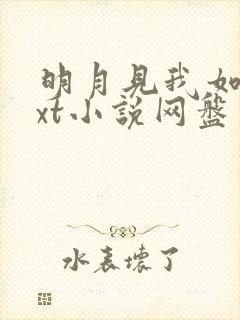 明月见我如是txt小说网盘