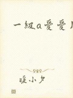 一级a爱爱片