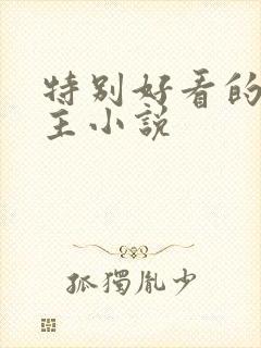 特别好看的双男主小说
