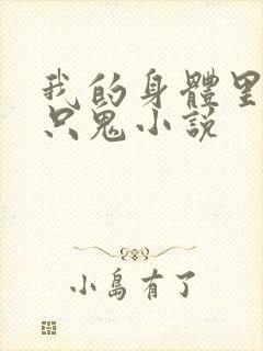 我的身体里面有只鬼小说