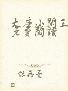 大唐小闲王全本免费阅读