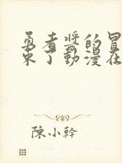 勇者酱的冒险结束了动漫在线观看