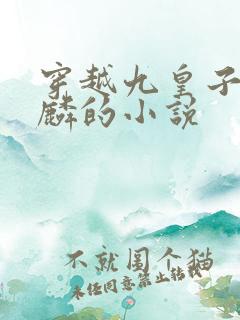 穿越九皇子李龙麟的小说