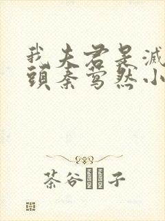 我夫君是灭世魔头秦莺然小说全文