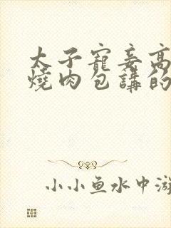 太子宠妾高肉红烧肉包讲的什么