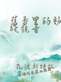 旧番里的动漫在线观看