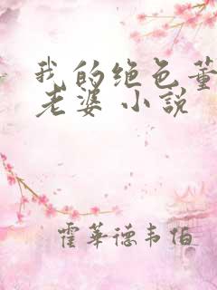 我的绝色董事长老婆 小说