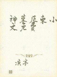 神墓辰东小说全文免费