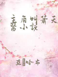 主角叫萧天的神医小说