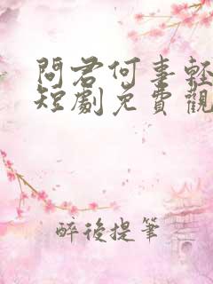 问君何事轻离别短剧免费观看