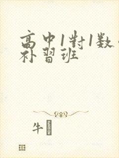 高中1对1数学补习班