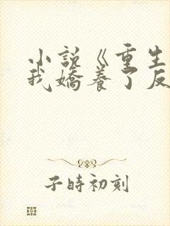 小说《重生后,我娇养了反派摄政王》