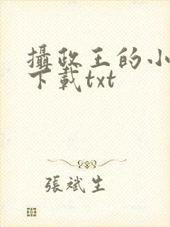 摄政王的小闲妻下载txt