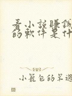 看小说赚钱最多的软件是什么