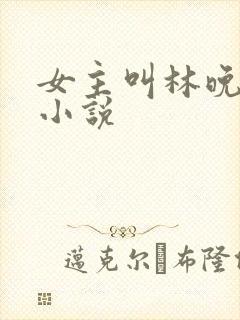 女主叫林晚意的小说