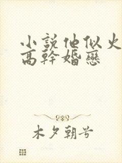 小说他似火军婚高干婚恋