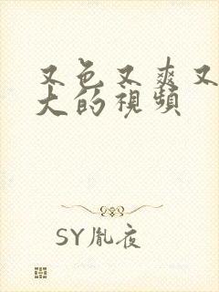 又色又爽又黄又大的视频