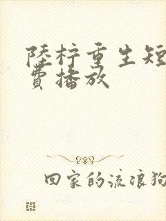 陆柠重生短剧免费播放