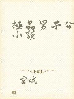 极品男子公寓的小说