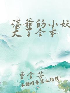 湛爷的小妖精长大了全本