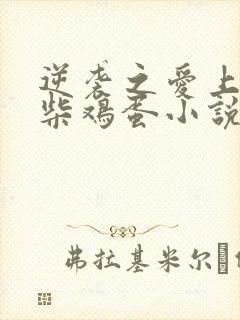 逆袭之爱上情敌柴鸡蛋小说免费完整在线阅读