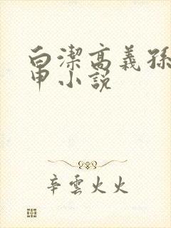 白洁高义孙倩王申小说