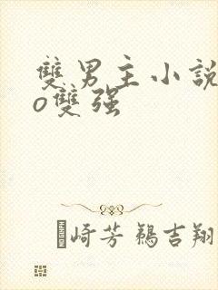 双男主小说abo双强