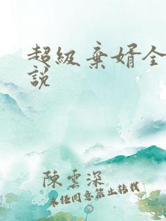 超级弃婿全的小说