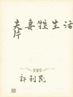 夫妻牲生活一级片