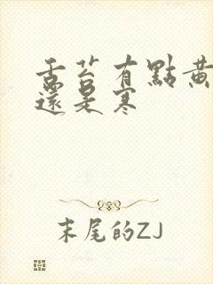 舌苔有点黄是热还是寒