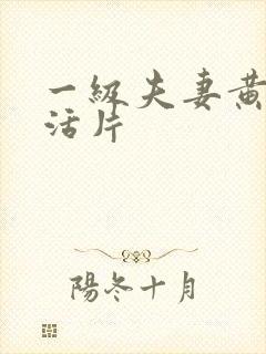 一级夫妻黄色生活片