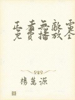 正者无敌电视剧免费播放全集