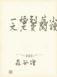 一婚到底小说全文免费阅读