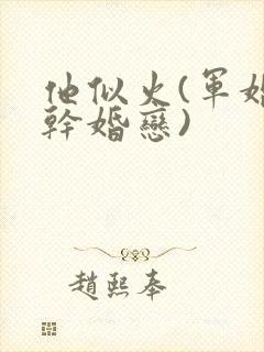 他似火(军婚高干婚恋)