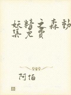 妖精之森动漫全集免费