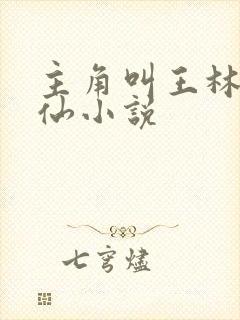 主角叫王林的修仙小说