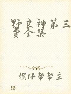 野良神第三季免费全集