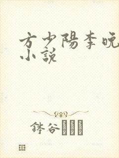 方少阳李晚晴的小说