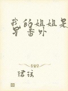 我的姐姐是大明星 番外