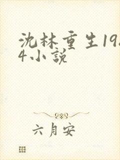 沈林重生1984小说