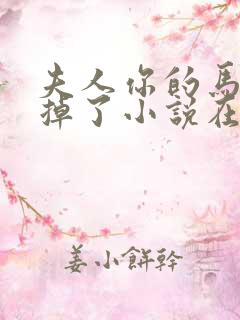 夫人你的马甲又掉了小说在线阅读