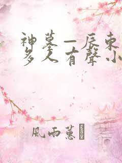 神墓—辰东免费多人有声小说