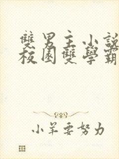 双男主小说推文校园双学霸