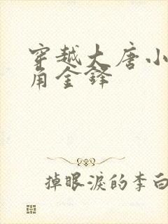 穿越大唐小说主角金锋