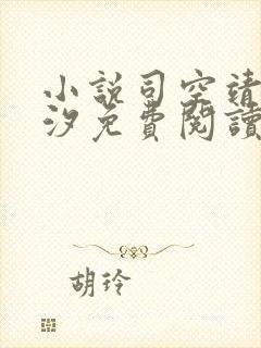 小说司空靖苏月汐免费阅读